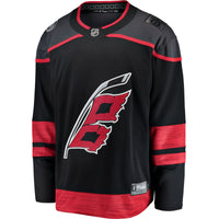 Carolina Hurricanes Hockey Jersey, Black Sportswear Jersey Shirt, Long Sleeve Hockey Sweater Jersey, Casual Gift for Men, Style 3273306