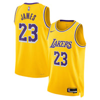 Lebron James Los Angeles Lakers Basketball Jersey, Sportswear Jersey Shirt, Sleeveless Athletic Jersey, Casual Gift for Men, Style 202220008