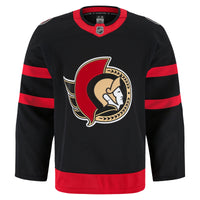 Ottawa Senators Hockey Jersey, Black Authentic Sportswear Jersey Shirt, Long Sleeve Hockey Sweater Jersey, Casual Gift for Men, Style 201897979