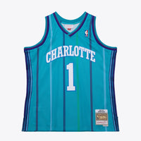 Charlotte Hornets Basketball Jersey, Teal Authentic Swingman Sportswear Jersey Shirt, Sleeveless Athletic Tank Jersey, Casual Gift for Men