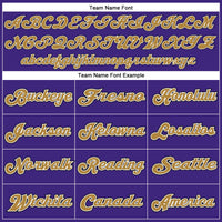 Custom Football Jersey, Purple Old Gold Black Sportswear Jersey Shirt, Athletic Mesh Moisture Wicking Jersey, Casual Gift for Men